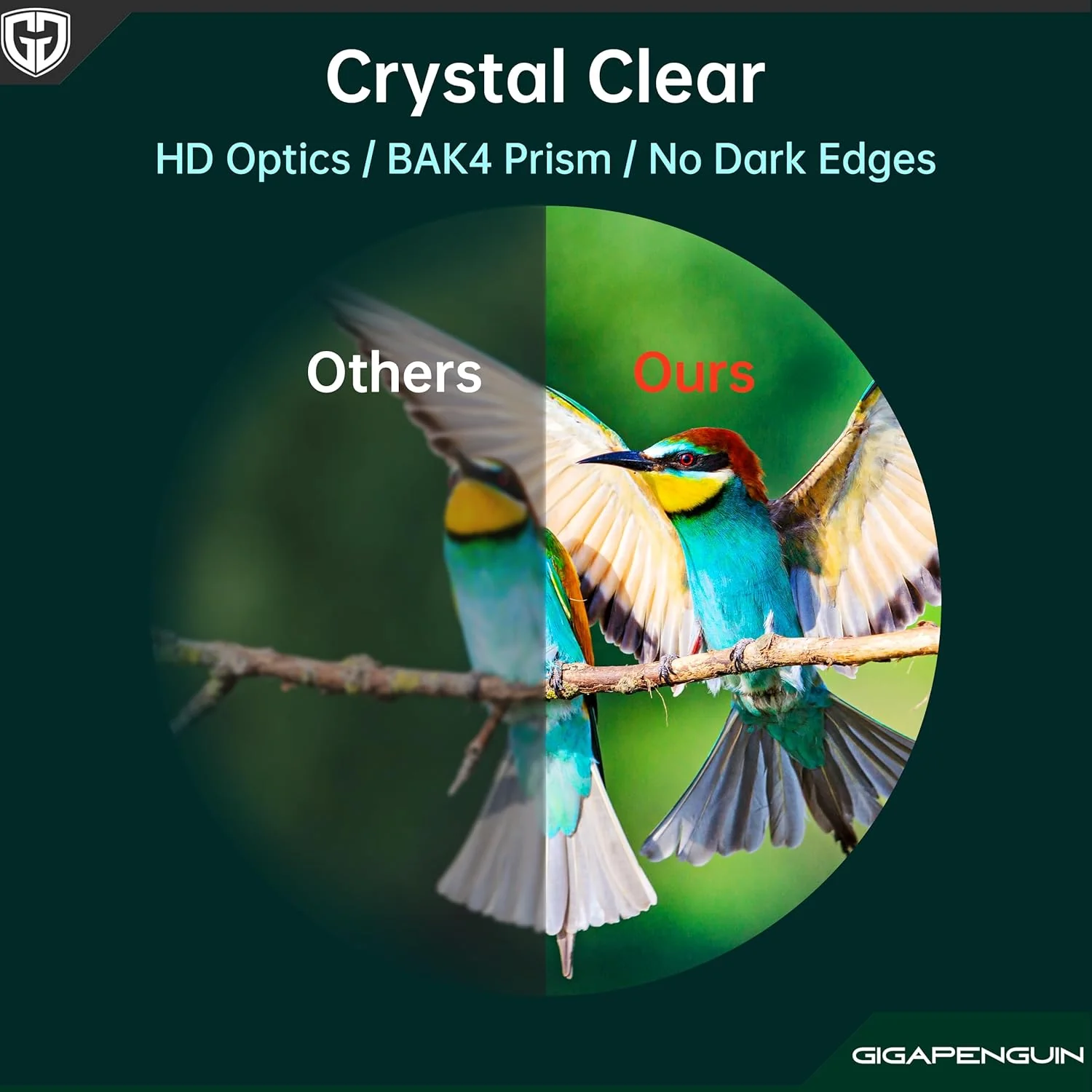 OpticEdge - Image 2