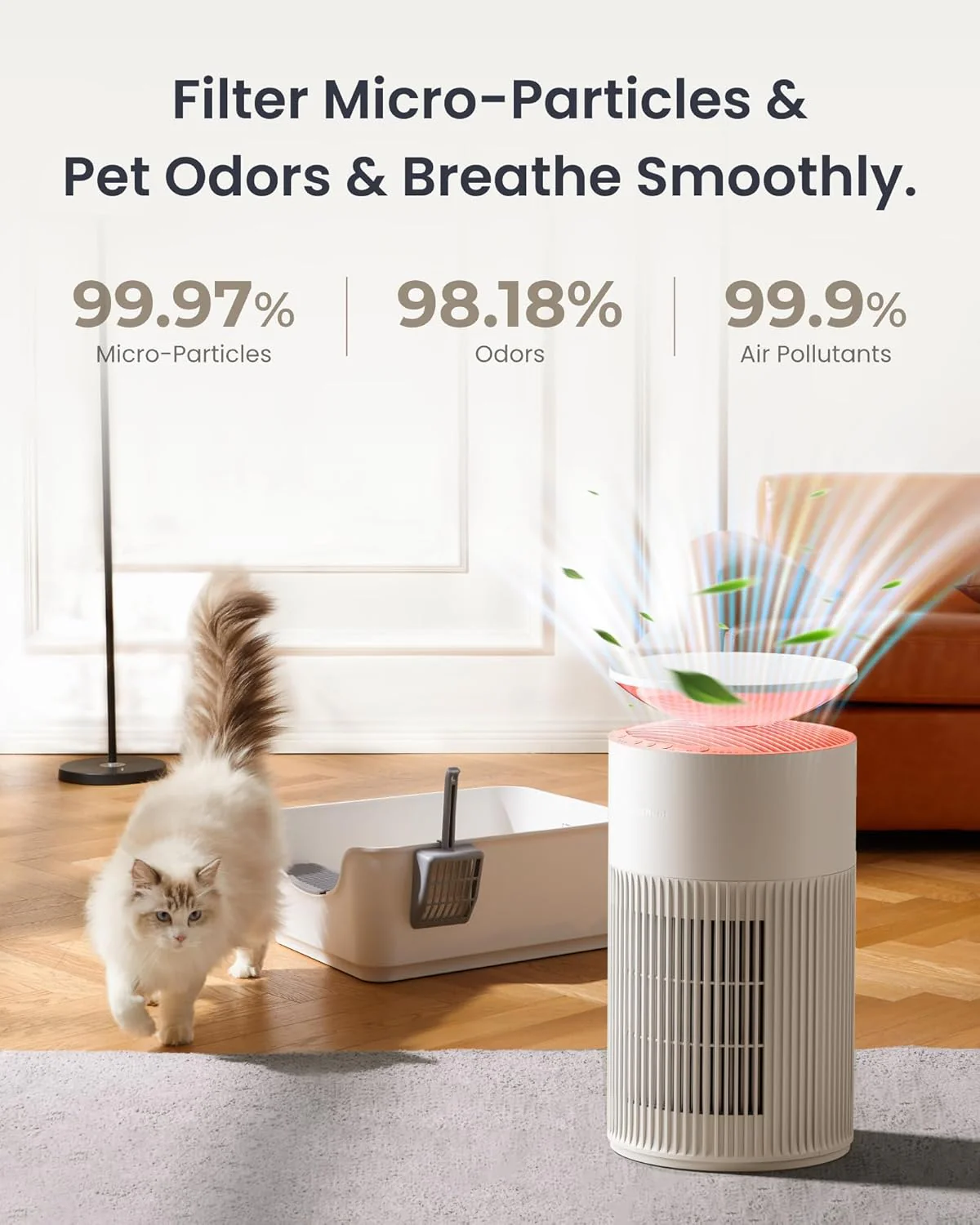 Osmo AirPurify Pro - Image 5