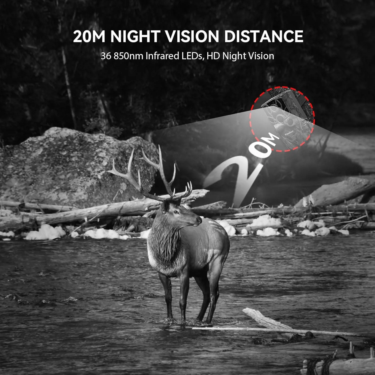 Osmo WildPro - Image 8